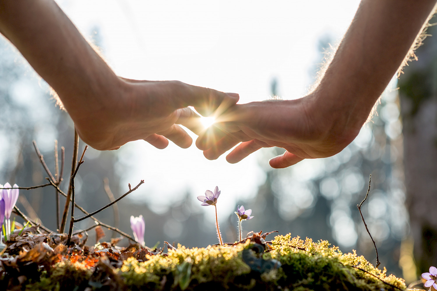 Burnout-Prävention — Auszeit in der Natur